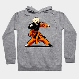 Dog Knows Karate Hoodie